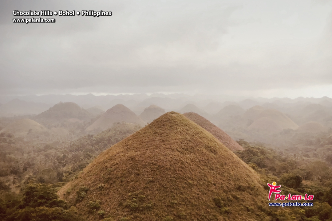 Chocolate Hills